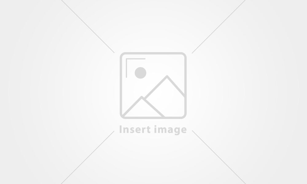 placeholder_1
